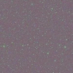 Meet your Posher, Jane